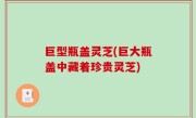 巨型瓶盖灵芝(巨大瓶盖中藏着珍贵灵芝)