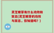 灵芝嫩芽有什么功效和禁忌(灵芝嫩芽的功效与禁忌，你知道吗？)