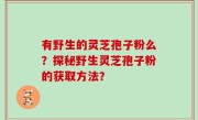 有野生的灵芝孢子粉么？探秘野生灵芝孢子粉的获取方法？