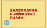 宝安灵芝的景点有哪些好玩的(探索宝安灵芝的迷人景点)