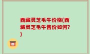 西藏灵芝毛牛价格(西藏灵芝毛牛售价如何？)