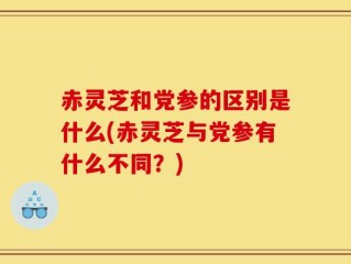 赤灵芝和党参的区别是什么(赤灵芝与党参有什么不同？)