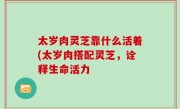 太岁肉灵芝靠什么活着(太岁肉搭配灵芝，诠释生命活力