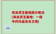 岚关灵芝基地简介概况(岚关灵芝基地：一窥中药珍品生长之地)