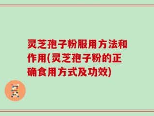 灵芝孢子粉服用方法和作用(灵芝孢子粉的正确食用方式及功效)