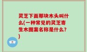 灵芝下面那块木头叫什么(一种常见的灵芝寄生木图案名称是什么？)