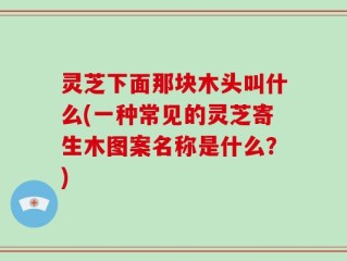灵芝下面那块木头叫什么(一种常见的灵芝寄生木图案名称是什么？)