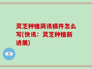灵芝种植简讯稿件怎么写(快讯：灵芝种植新进展)