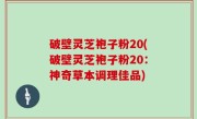 破壁灵芝袍子粉20(破壁灵芝袍子粉20：神奇草本调理佳品)