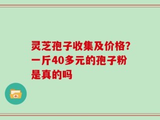 灵芝孢子收集及价格？一斤40多元的孢子粉是真的吗