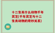 十二生肖什么动物千年灵芝(千年灵芝与十二生肖动物的奇妙关系)
