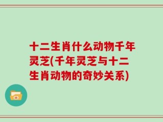 十二生肖什么动物千年灵芝(千年灵芝与十二生肖动物的奇妙关系)