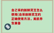 自己采的新鲜灵芝怎么使用(自采新鲜灵芝的正确使用方法，美肌养生兼备
