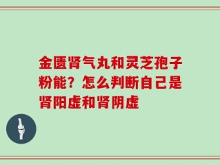 金匮肾气丸和灵芝孢子粉能？怎么判断自己是肾阳虚和肾阴虚
