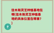 佳木斯灵芝种植基地在哪(佳木斯灵芝种植基地的具体位置在哪里？)