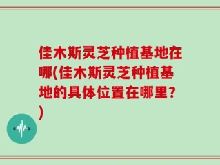 佳木斯灵芝种植基地在哪(佳木斯灵芝种植基地的具体位置在哪里？)