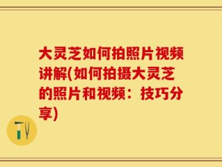 大灵芝如何拍照片视频讲解(如何拍摄大灵芝的照片和视频：技巧分享)