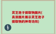 灵芝孢子提取物图片(高清图片展示灵芝孢子提取物的神奇功效)