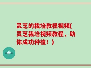 灵芝的栽培教程视频(灵芝栽培视频教程，助你成功种植！)