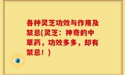 各种灵芝功效与作用及禁忌(灵芝：神奇的中草药，功效多多，却有禁忌！)