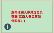 烟雨江南人参灵芝怎么获取(江南人参灵芝如何购买？)