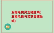 五指毛桃灵芝猪肚鸡(五指毛桃与灵芝煲猪肚鸡)