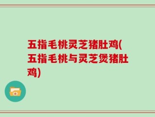 五指毛桃灵芝猪肚鸡(五指毛桃与灵芝煲猪肚鸡)