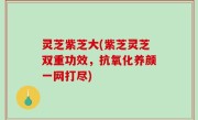 灵芝紫芝大(紫芝灵芝双重功效，抗氧化养颜一网打尽)