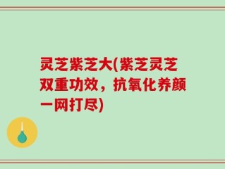 灵芝紫芝大(紫芝灵芝双重功效，抗氧化养颜一网打尽)