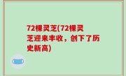 72棵灵芝(72棵灵芝迎来丰收，创下了历史新高)
