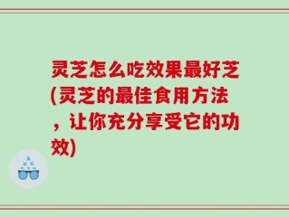 灵芝怎么吃效果最好芝(灵芝的最佳食用方法，让你充分享受它的功效)