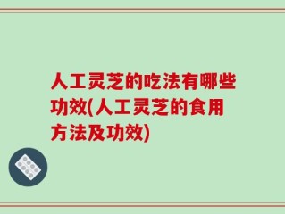 人工灵芝的吃法有哪些功效(人工灵芝的食用方法及功效)