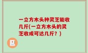 一立方木头种灵芝能收几斤(一立方木头的灵芝收成可达几斤？)