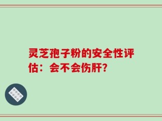 灵芝孢子粉的安全性评估：会不会伤肝？