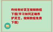 咋样养好灵芝视频教程下载(学习如何正确养护灵芝，视频教程免费下载)