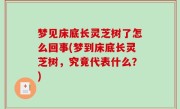 梦见床底长灵芝树了怎么回事(梦到床底长灵芝树，究竟代表什么？)