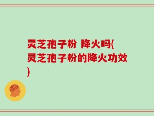 灵芝孢子粉 降火吗(灵芝孢子粉的降火功效)