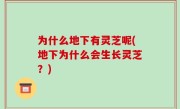 为什么地下有灵芝呢(地下为什么会生长灵芝？)
