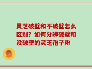 灵芝破壁和不破壁怎么区别？如何分辨破壁和没破壁的灵芝孢子粉
