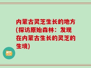 内蒙古灵芝生长的地方(探访原始森林：发现在内蒙古生长的灵芝的生境)