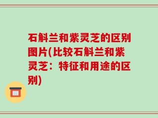 石斛兰和紫灵芝的区别图片(比较石斛兰和紫灵芝：特征和用途的区别)