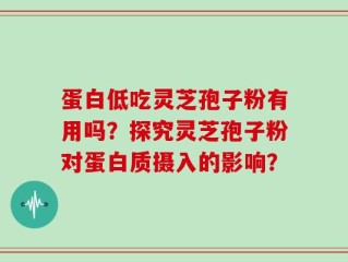 蛋白低吃灵芝孢子粉有用吗？探究灵芝孢子粉对蛋白质摄入的影响？