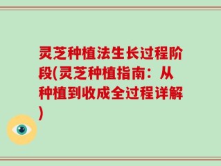 灵芝种植法生长过程阶段(灵芝种植指南：从种植到收成全过程详解)