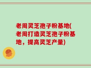 老周灵芝孢子粉基地(老周打造灵芝孢子粉基地，提高灵芝产量)