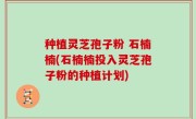 种植灵芝孢子粉 石楠楠(石楠楠投入灵芝孢子粉的种植计划)