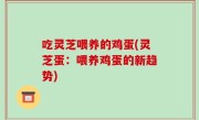 吃灵芝喂养的鸡蛋(灵芝蛋：喂养鸡蛋的新趋势)