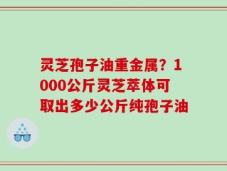灵芝孢子油重金属？1000公斤灵芝萃体可取出多少公斤纯孢子油