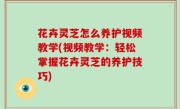 花卉灵芝怎么养护视频教学(视频教学：轻松掌握花卉灵芝的养护技巧)