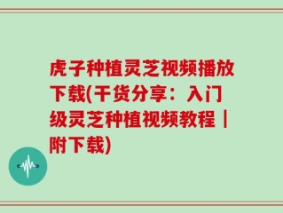 虎子种植灵芝视频播放下载(干货分享：入门级灵芝种植视频教程｜附下载)
