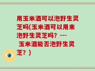 用玉米酒可以泡野生灵芝吗(玉米酒可以用来泡野生灵芝吗？--- 玉米酒能否泡野生灵芝？)